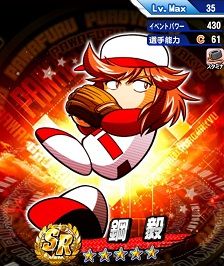 鋼毅SR