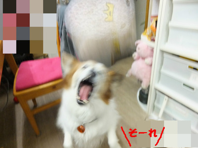 (゜o゜)
