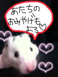 maruko