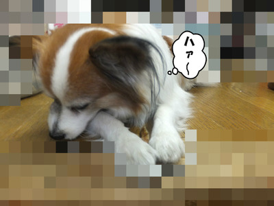 溜息