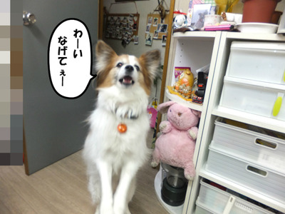 タマゴちゃ~ん♡
