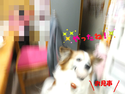 はーい