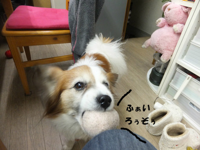 また投げて~