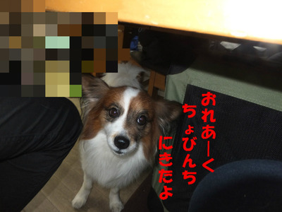 アーク