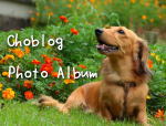 Choblog Photo Album