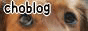 ���äƤ����ɥ��ܡ�����