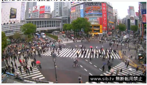8ed796d98ec950d64ee401a16c62784b