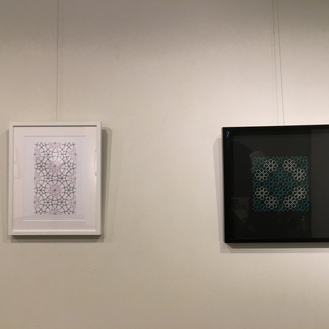 IMG-3010