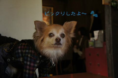 BlogPaint