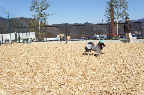 DSC08329