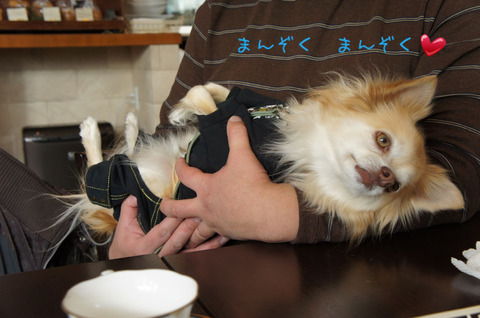 BlogPaint