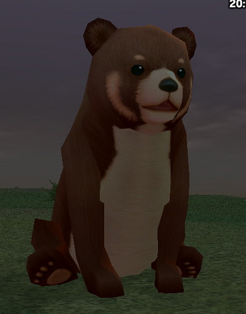 kuma