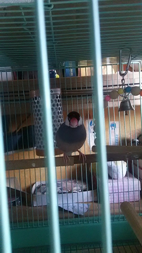 [画像:f7cc5ad5-s.jpg]