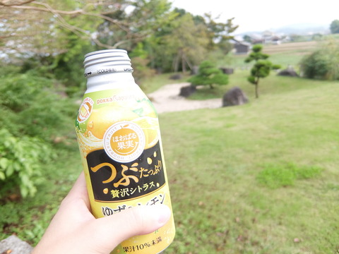 DSCF6911