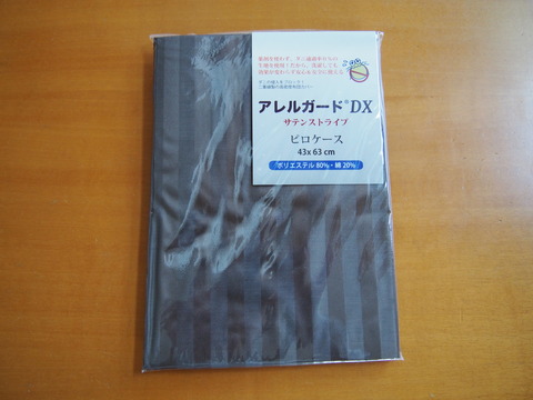PA270725