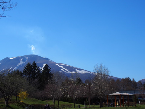 P4230881