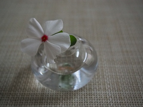 P8300515