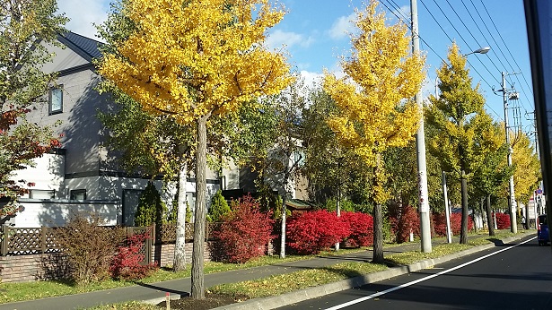 20181030_083342