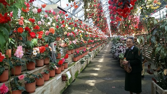 20160228_105533 (550x309)
