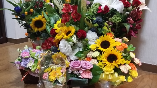 20150810_031246 (550x309)