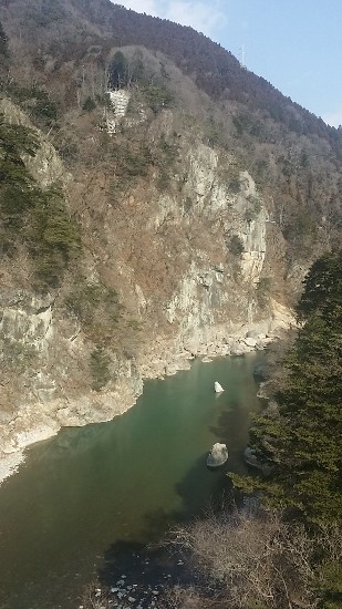 20160228_101312 (309x550)