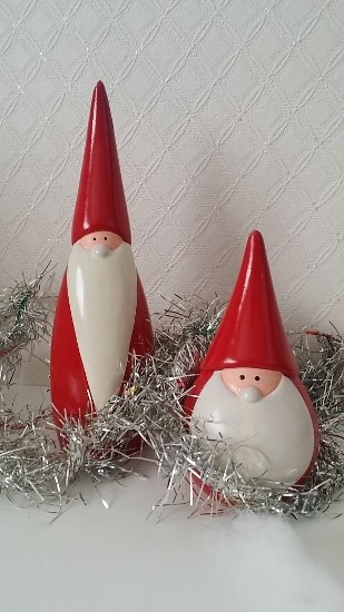 20151129_113426 (309x550)