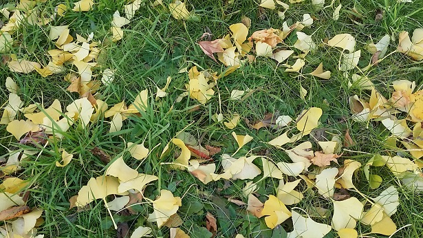 20181030_084004