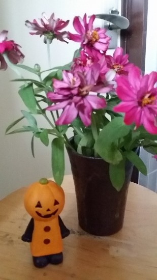 20140929_151333 (309x550)