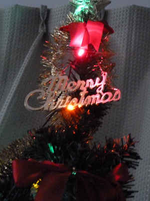 xmas�ĥ꡼