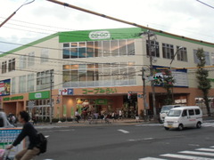 CIMG4443