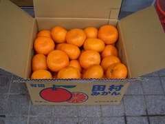 CIMG6229