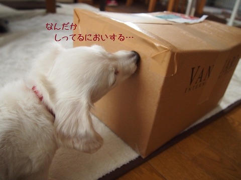 ②
