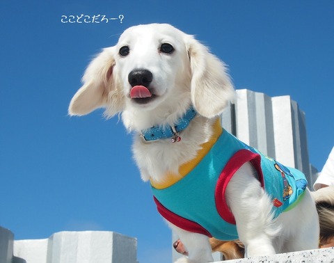 ④
