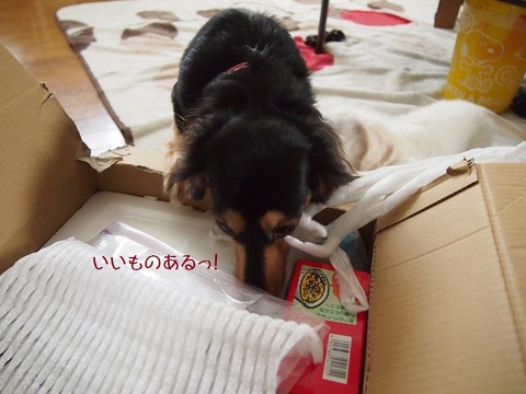 ⑧