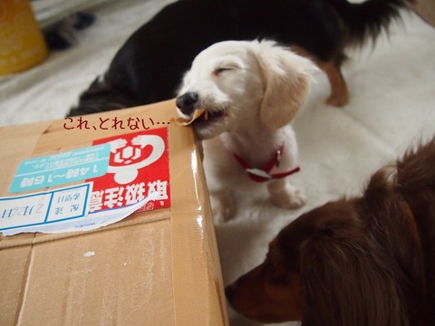 ④