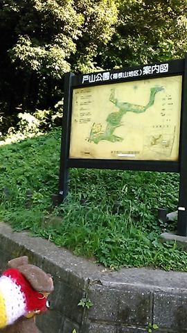 25523ac6.jpg