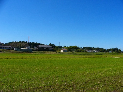 P1020580