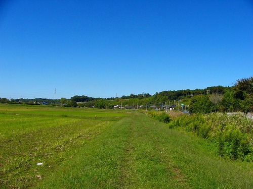 P1020582