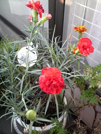 P1000946