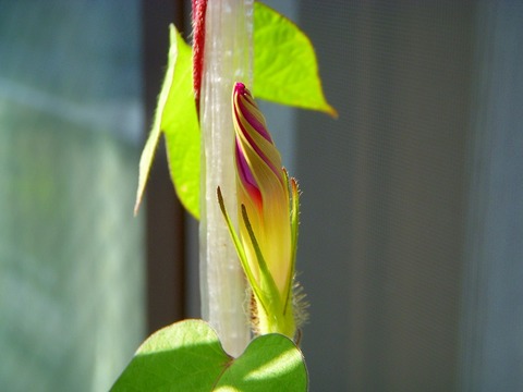 DSCN2641