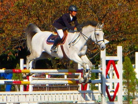 DSCN3590