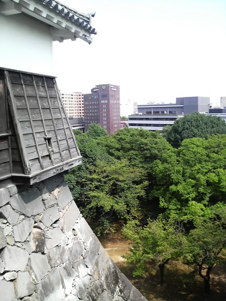 P1000794