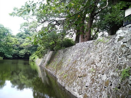 P1000643