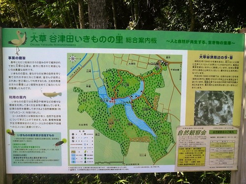 P1000522