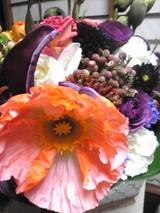 275e2954.jpg