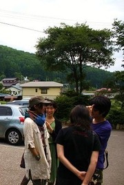 aokiko 383