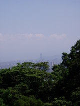 023454f8.jpg