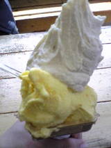 2a500101.jpg