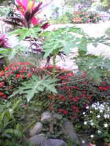4082f9a5.jpg