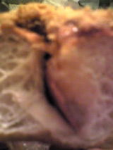 41db09e7.jpg